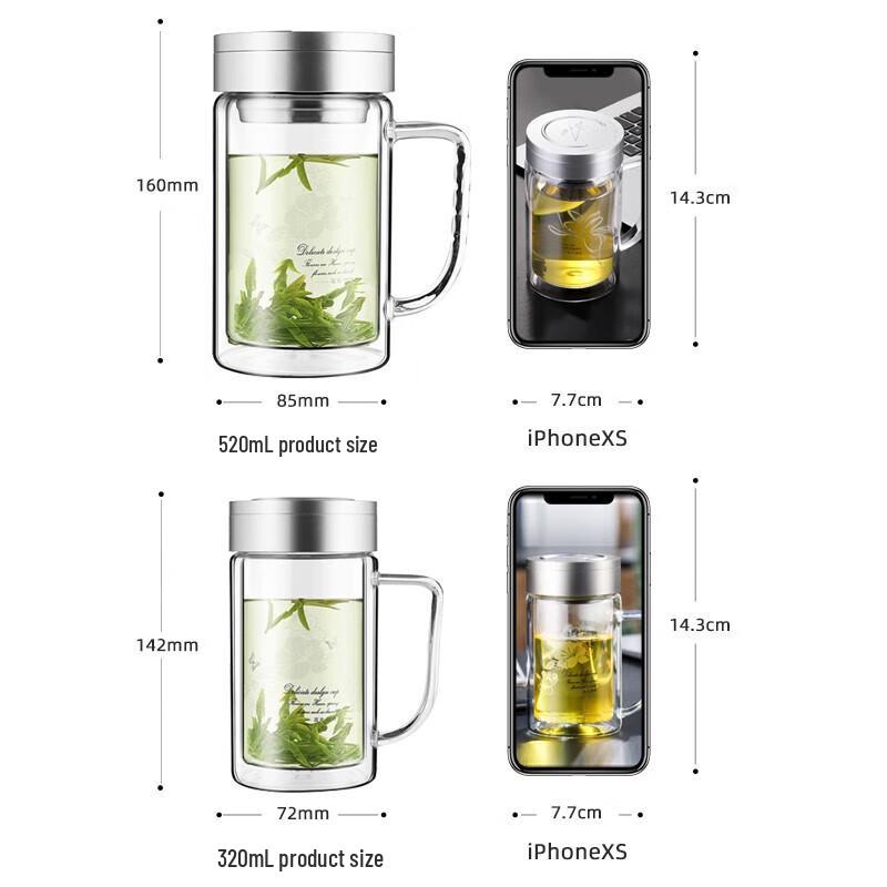 Fuguang Double Wall Borosilicate Glass Tea & Water Bottle with Infuser