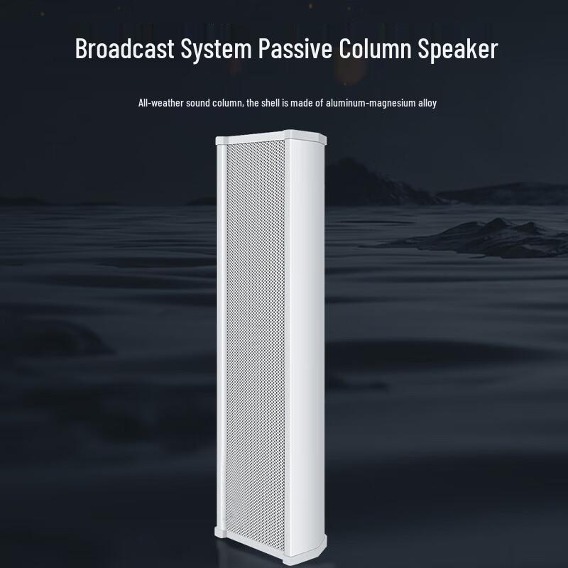 Weishu WS-41A Professional Broadcast System Set (CN Version)
