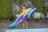 Bestway 168 x 66cm Dolphin Daydream Float Weight Capacity 45kg 41541 Ride-On (Dolphin Float)