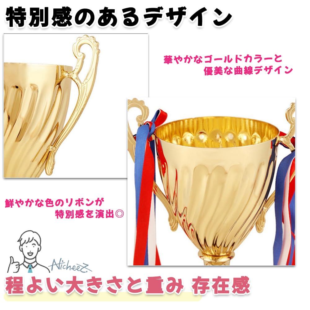 Nicheez Trophy Winner Cup Sports Tournament Competition