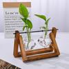 Planter Hydroponic Plant Vases Wooden Frame Bonsai Flower Pot Decoration Glass Vase