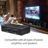 LYNEPAUAIO 2 In 2 Out Speaker Selector Switch Audio Signal Switcher Power Amplifier Audio Receiver Splitter Box