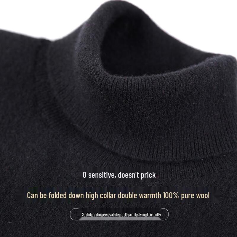 JOW Men's Pure Wool Turtleneck Sweater