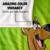 Scooby Doo Head Blanket