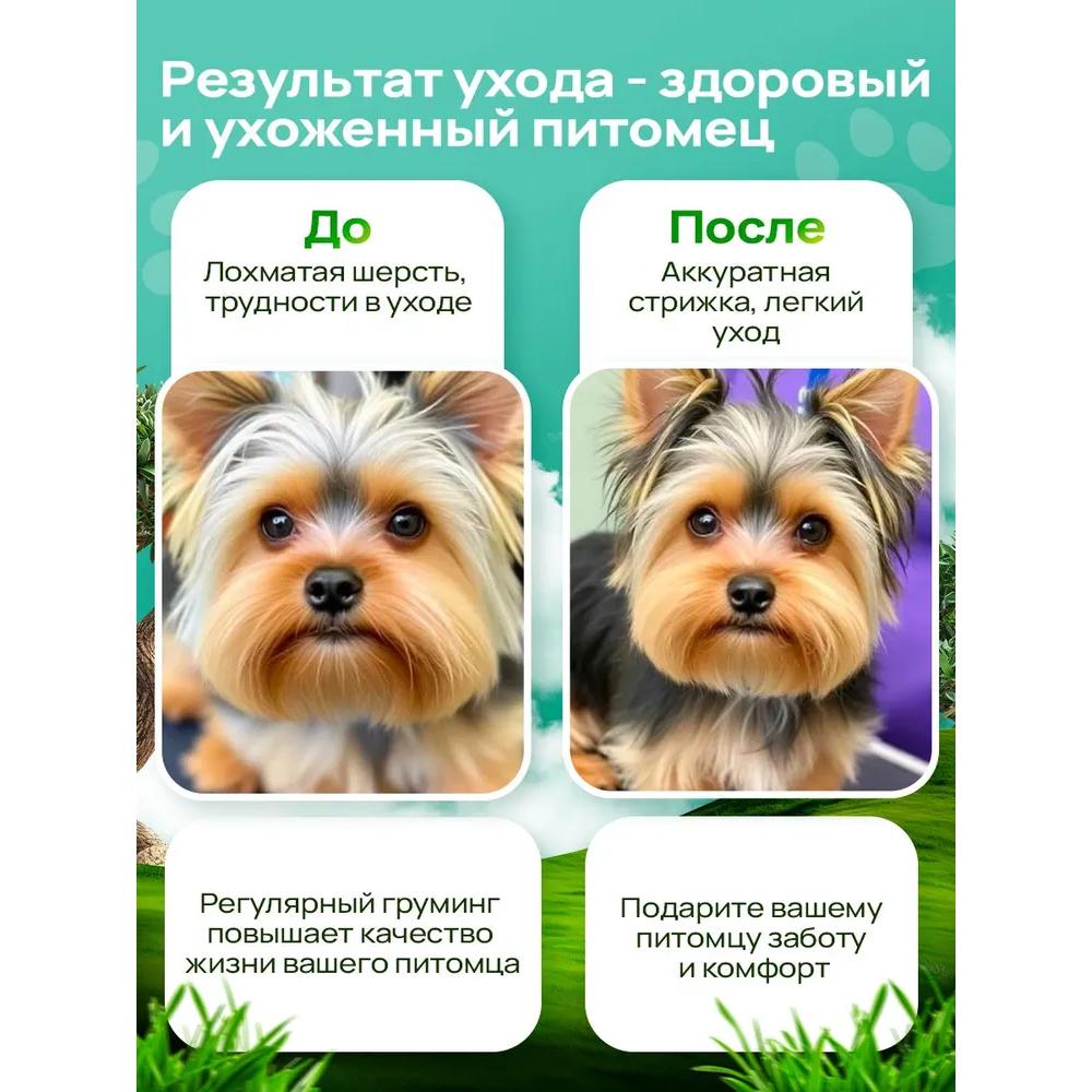 Aparat de tuns câini și pisici