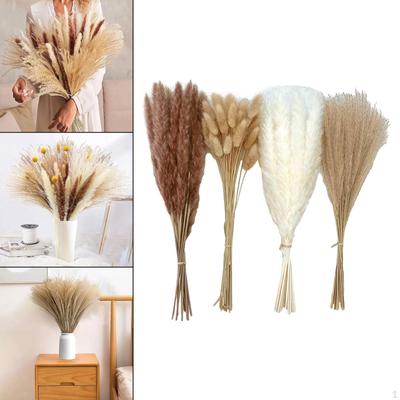 Bulrush Reed Grass Wedding Prop Dried Flower for Home Farmhouse