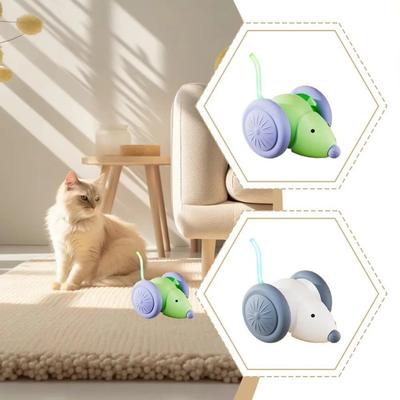 Kedi – Kedi Oyuncakları