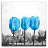 Canvas Print, Blue Tulips In a Meadow