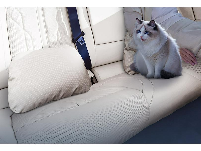 Essential Car Accessories for AION i60: Headrests & Lumbar Supports for Neck & Waist Protection, Interior Modification Parts.