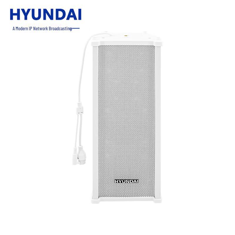 Hyundai IP Network Broadcasting Audio Systems CN plug (adapter included)