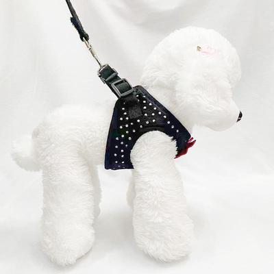 Cães – Colares e correias para cães