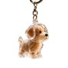 Cute Transparent Puppy Hair Storage Pendant Keychain - Creative Bag and Backpack Ornament
