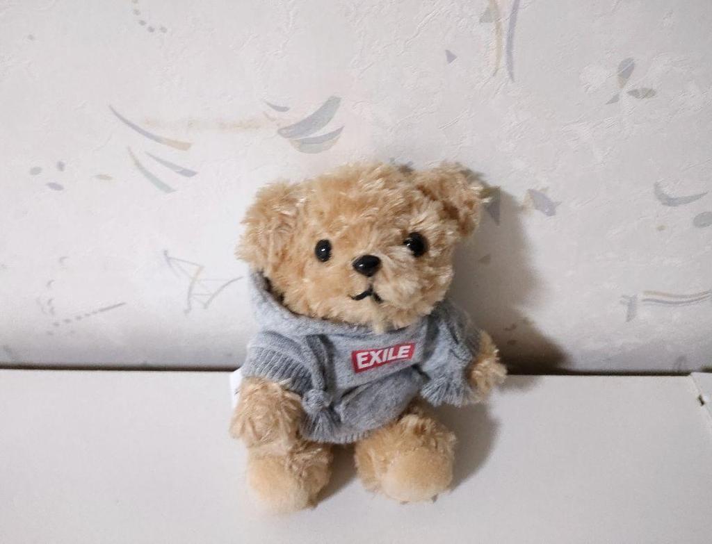 [USED] EX BEAR EXILE AKIRA Teddy Bear Plush Keychain