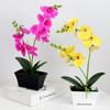 1/2pcs Artificial Silk Orchid Flowers, Lifelike Real Touch Phalaenopsis for Home Decor, Table Centerpiece, Vase Arrangement