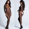 Women's Sexy Costumes See Through Hollow Fishing Net Tight Lingerie Clothes Ladies Erotic Mesh Transparent Full Body Stocking