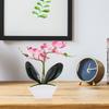 Mini Orchid Artificial Potted Plant Lifelike Silk Flower Table Decoration for Kitchen Bathroom Spring Home Faux Bonsai
