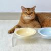 Ceramic Pet Cat Bowl Pet Drinking Water Feeding Bowl Ceramics Cat Food Dog Food Utensils Cat Dog Pet Supplies Accessories