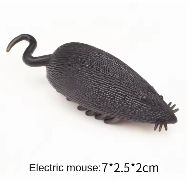 Jouet interactif pour chat et chaton, mini insecte électrique, jouet à bascule automatique, alimenté par batterie, vibration, fournitures pour coléoptères