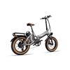 MIHOGO ONE Utility EBIKE 48V13AH+48V 16AH Akku, 750W Motor