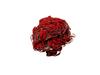 Asahi Sun Red Cloth Scrubber Sand Clean Set of 5 Medium JTW11002 (Small)
