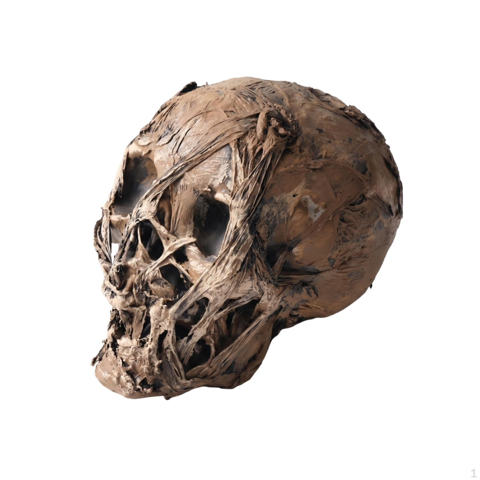Accessory Prop Weathered Skeletal Decoration Distressed Finish Bone for Display Head