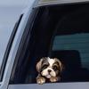 DK121# The Shih Tzu Dog Watches You Car Decals Bumper Window Stickers Car Accessories Waterproof Vinyl Material