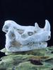 Mini Realistic Rhinoceros Skull Resin Decoration, Fish Tank Landscape Decoration, Skeleton Decoration for Aquariums.