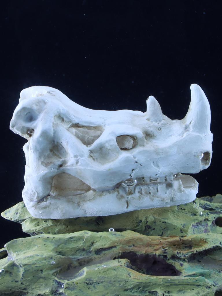 Mini Realistic Rhinoceros Skull Resin Decoration, Fish Tank Landscape Decoration, Skeleton Decoration for Aquariums.
