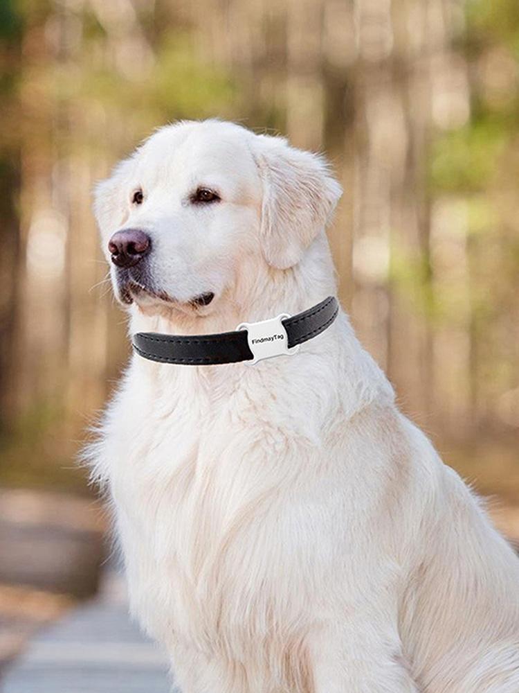 Mini Pet GPS Locator Tracker Waterproof Bluetooth-compatible Tracking Dog Cat Collar Anti-Lost Finder Device