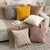 2pcs Boho Abstract Throw Pillow Covers, Soft Plush Polyester Fabric, Geometric Pattern, Zipper Closure Cushion Cases for Couch, Sofa, Bedroom