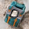 Large Capacity Pet Carrier Backpack Cats Small Dogs Up To 7kg Portable Travel Bag With Ventilation Mesh