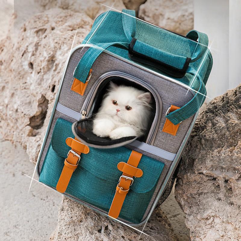 Large Capacity Pet Carrier Backpack Cats Small Dogs Up To 7kg Portable Travel Bag With Ventilation Mesh