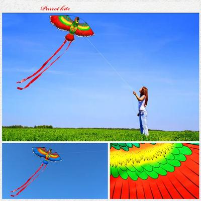 Con Cometa de Loro de Línea Animales de Dibujos Animados Diversión Deportiva al Aire Libre Nuevos Juguetes de Loro Volador para Niños