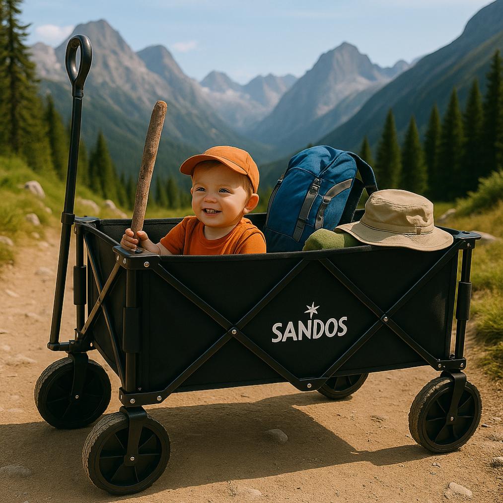Beach cart trailer 100kg foldable camping tourist for holidays