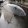 Large Transparent Windproof Umbrella for Two, Semi-Automatic, Solid Color, Reinforced Long Handle