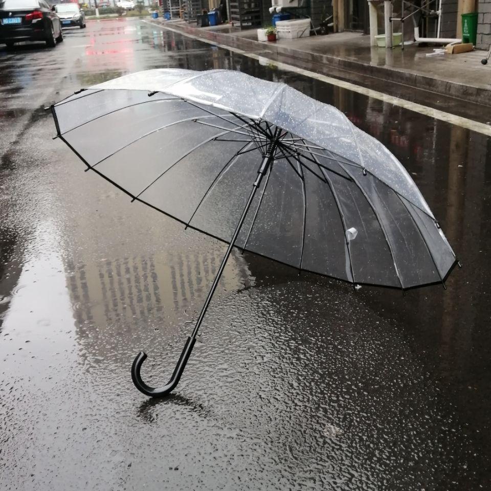Large Transparent Windproof Umbrella for Two, Semi-Automatic, Solid Color, Reinforced Long Handle