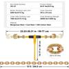Chain and Binder Kit 3/8"-1/2" Ratchet Load Binder 3/8" X 10' Chain 2 Pack