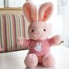 Rabbit Doll Plush Soft Stuffed Animal with Detachable Knitted Sweater Cute Lop-Ear Healing Toy for Kids Adults Bedroom Decor Gifts
