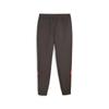 Puma Milan Prematch Active Pants Polyester Black