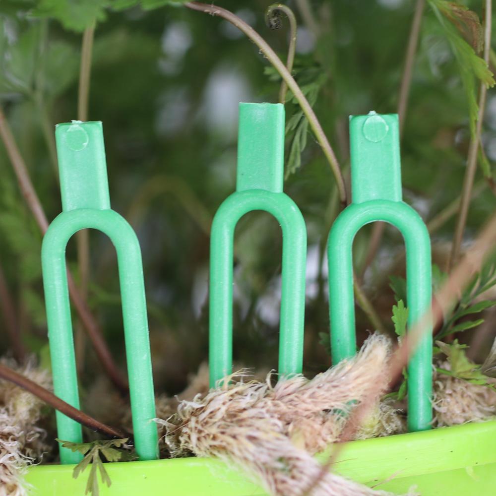 50PCS Strawberry Garden Plants Fastening Fixture Clamp Clips Planting Fork Green Stolon Fixator Watermelon Vine Pressing Tool