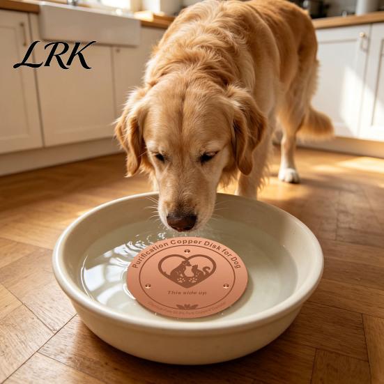 Pet Water Bowl Accessory Copper Disc Purification for Dog, 4-Inch Diameter Pure Disc, Slimy Scale Removal with 3-Point Support Dog Dispenser