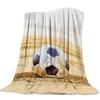 Soccer Ball Sport Football Print Blankets Coverlet Throw Cover Fleece Comfort Warm Flannel Blanket for Indoor Couch Home Decor