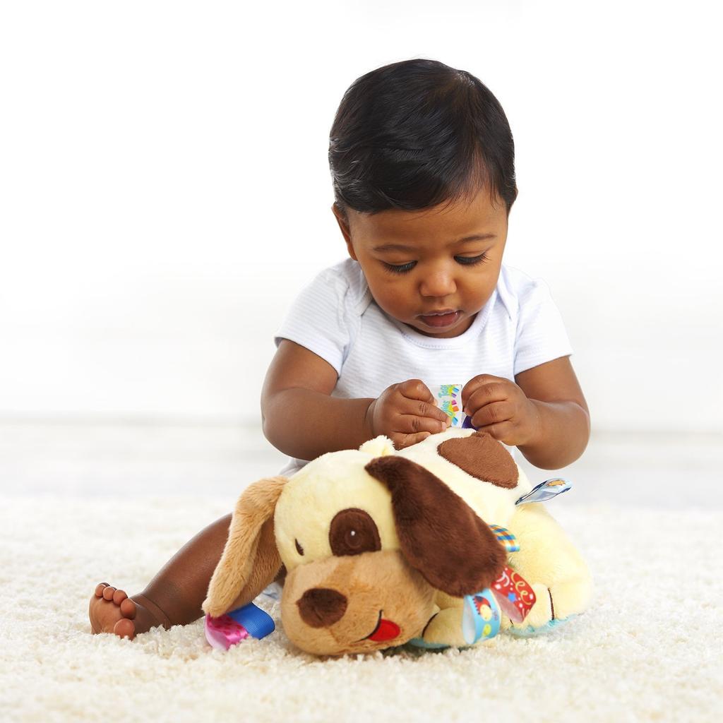 Taggies Taggin Playpal Hund von Kids II (9257-01)
