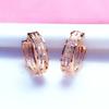 Purple Gold Circle Hollow Earrings Women'S Simple Temperament Personalized Design Rose Gold-Plated Earrings