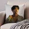 POP Korea CChoo YoungWoo Cushion Cover Pillowcase Antidustmite Invisible Zipper Short Plush Sofa Cushion