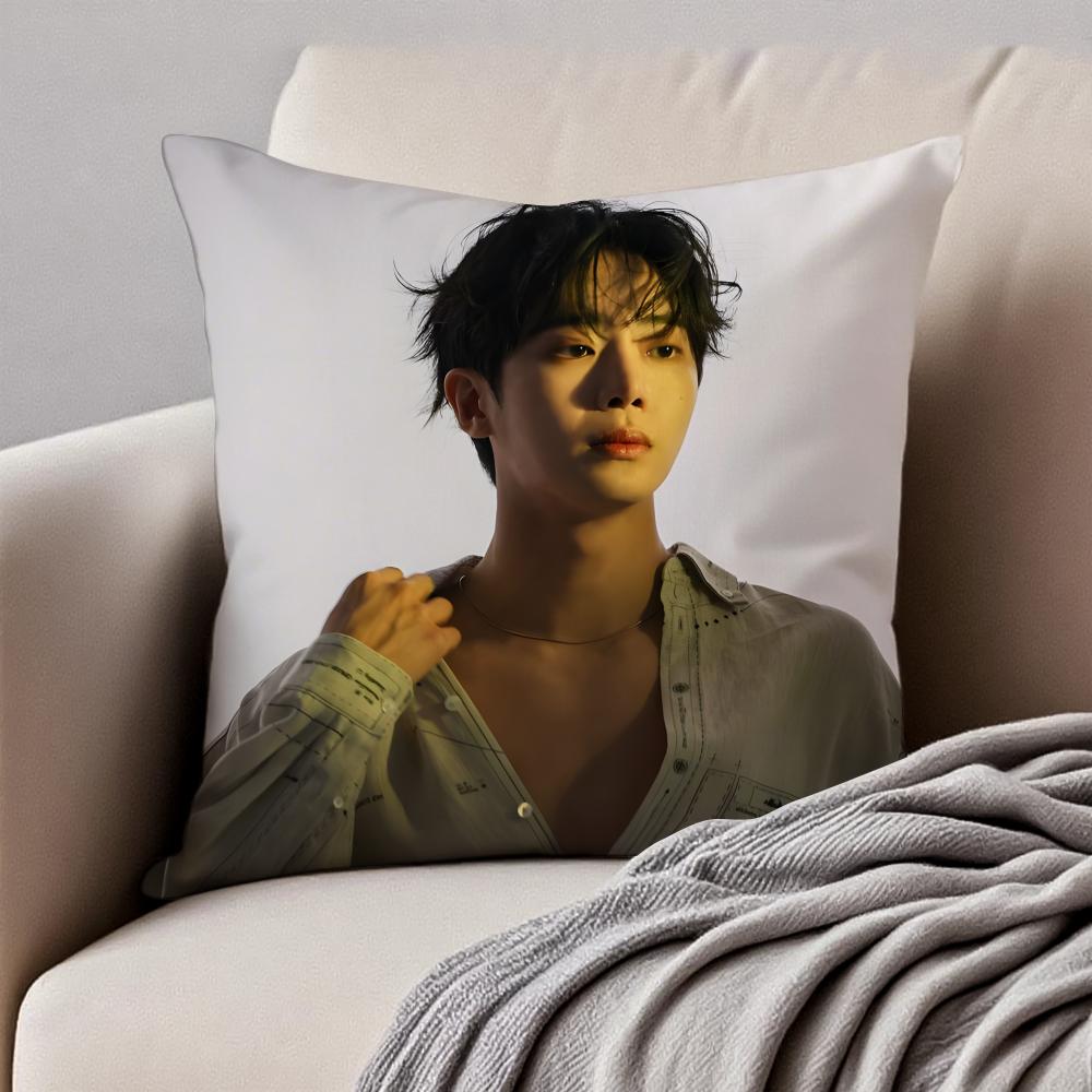 POP Korea CChoo YoungWoo Cushion Cover Pillowcase Antidustmite Invisible Zipper Short Plush Sofa Cushion