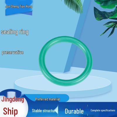 Fluororubber O-Ring Seal