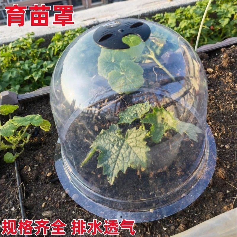 

Garden Seedling Dome Greenhouse Plant Cover Thickened Plastic Transparent Protective Cloche with Ventilation and Drainage for Seedlings One Size