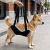 Breathable Pet Dog Disability Walking Aid Belt Adjustable Strap Pet Support Harness  Outdoor