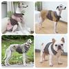 Pet Cotton Coat Winter Warm Windproof Outerwear In Classic Preppy Style